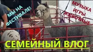 Угощаем медом бесплатно. ПРИЯТНОГО ПРОСМОТРА.