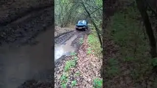 Нива по лесу. Чернозем.