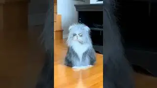 В ожидании чуда