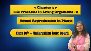 Life Processes in living organism Part-2 II Sexual Reproduction In Plants || Biology With Swapnali