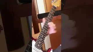 #guitar #guitarist #guitarrista #guitarra #musicalinstrument #guitarsolo #guitarristabrasileiro