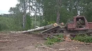 Вахта, Тт-4 трелюет лес