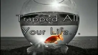Out of my Mind by Sharon Draper.mpg