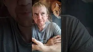 Когда жена готовит котлетки приколы 2023 