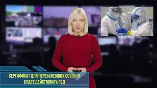 Сертификат для переболевших COVID-19 будет действовать год