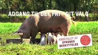 Adgang til det fri - Dit valg