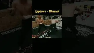 Царевич - Южный Топ Дог 15 | Нокаут | Top Dog | #fight #topdog #топдог #knockout #phonk