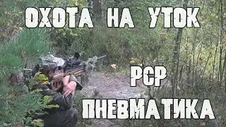 Duck hunting with PCP pneumatics 6.35 / September 2021 /.
