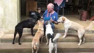 Hot dog snack time