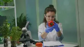 The Hottest Peppers in the World  Can You Handle the Heat?