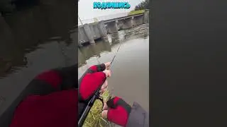 Рыбалка на окуня  #shorts Рыбак Подпишется!😍