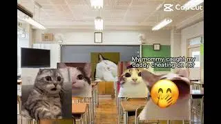 Just a regular day of gossiping with the kids 😁