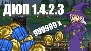 TERRARIA ЖЕСТКИЙ ДЮП 1.4.2.3