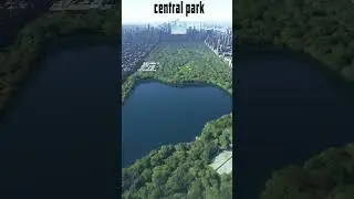 ✅ Central Park New York Hoy  videos en movimiento 4k #shorts #short