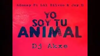 PARTY ANIMAL - version en español - Dj Akxe