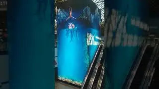 Телевизор Шереметьево
