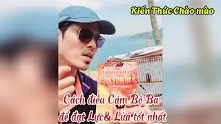 Kiến thức điều cám Bộ Ba cho chim chào mào đạt Đỉnh phong độ về Lực và Lửa