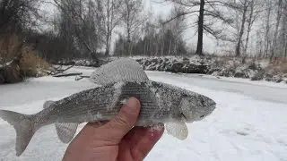 Рыбалка на хариуса на льду