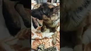 Справа в тому, що для щастя треба дуже мало