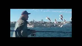 Aleyna Baran - 2023509057