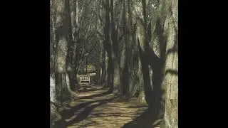 Motorama — Sleep, and I will sing (Full Album)
