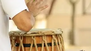Adeus Besouro - Mestre Barrao (Lyrics)