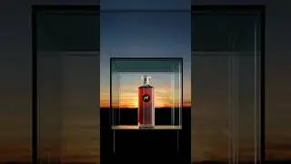 Новый провальный бизнес Бейонсе! #рамузыка #beyonce #sirdavis