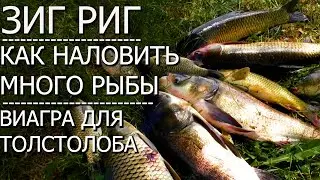 ЧТО творит этот КОРМ!!! Как наловить много рыбы??ЛОВЛЯ АМУРА И КАРПА НА ЗИГ-РИГ!! 2 ЧAСТЬ