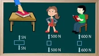 _WCLN - Physics - Net Forces & Normal Force