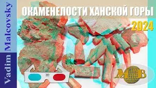 3D stereo red cyan Окаменелости Ханской горы  Белемниты или чёртовы пальцы. Мальковский Вадим