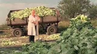 REKLAMA NA ZELÍ