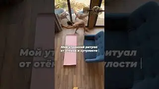 8 августа 2024 г.