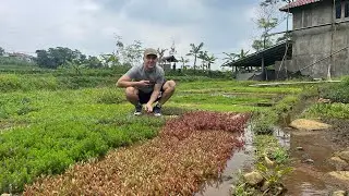 🔴 [LIVE] Jalan-jalan ke Farm Kang Bidin Bareng Marian Sterian