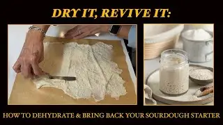 Dry It, Revive It:  How to Dehydrate & Bring Back Your Sourdough Starter
