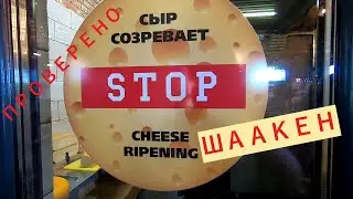ОТКРЫТЬ ДЕЛО В КАЛИНИНГРАДЕ: СЫР ШААКЕН