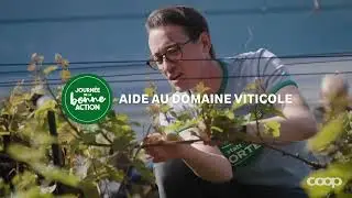 Aide au domaine viticole | Journée de la bonne action | 2024