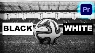 HOW TO MAKE VIDEO BLACK AND WHITE IN PREMIERE PRO