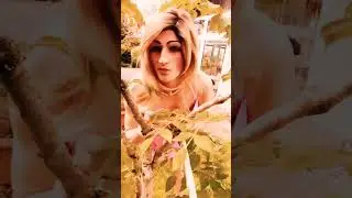 Crossdresser