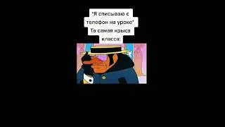 тик ток крыса