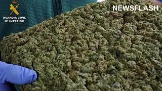 International Drug Trafficking Gang That Sent Cannabis To UK Using Vacuum-Sealed Packaging