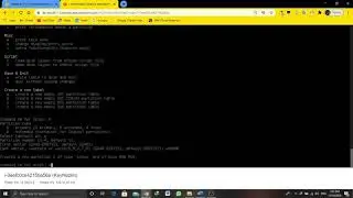 Making Document root Persistent to the EBS Volume