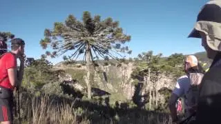 Brasil - Travessia Morro da Igreja - Serra do Rio do Rastro [Trekking] | Sobre Aventuras