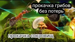 the ants underground kingdom прокачка сокровищ,  прокачка грибов без потери гифов
