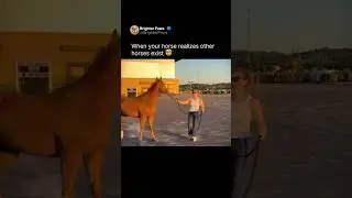 When your horse realizes other horses exist 🤯