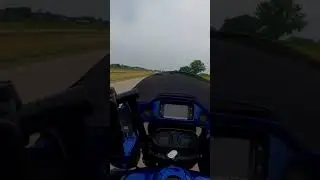 She wanted a ride 🤷‍♂️ 