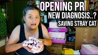 OPENING TONS OF MAKEUP PR & CHATTING! SAVING A DYING KITTY, NEW HEAD DIAGNOSIS & MORE!