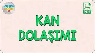 Kan Dolaşımı | AYT Biyoloji 2020