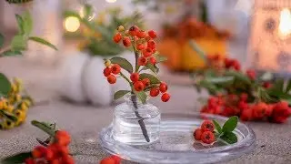 Ягоды Пираканты // Полимерная глина