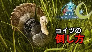 #8【ASA】必見！スーパーターキーは己の筋肉で倒せ！ターキーイベント攻略【PC版公式PVE：ARK: Survival Ascended】
