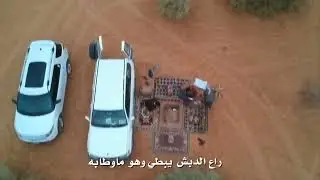 شيلة نافل الجيل / كلمات ابراهيم الشمسان / اداء محمد المطلق
